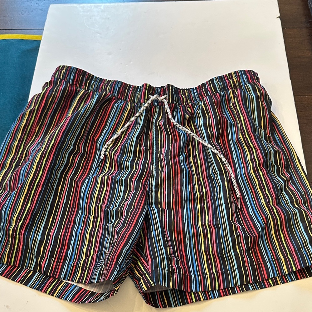 Maamgic Vibrant Striped Men's Swim Trunks Sz L